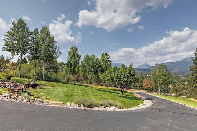 349 Harlan Creek Rd, Hamilton, MT 59840 - view of asphalt road with a mountain view