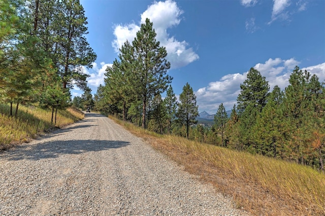 349 Harlan Creek Rd, Hamilton, MT 59840 - view of dirt / gravel road