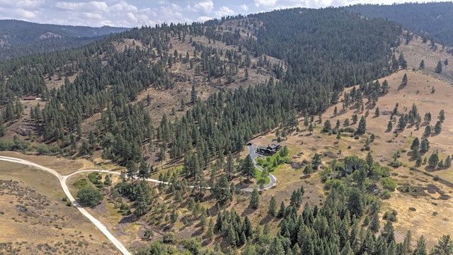 349 Harlan Creek Rd, Hamilton, MT 59840 - aerial overview of property's location with a mountain backdrop and a forest