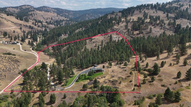 349 Harlan Creek Rd, Hamilton, MT 59840 - aerial view of property's location with a mountain backdrop and property boundaries highlighted