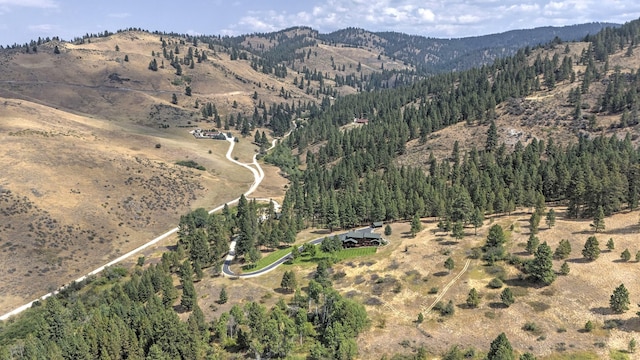349 Harlan Creek Rd, Hamilton, MT 59840 - mountain view with a heavily wooded area