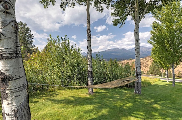 349 Harlan Creek Rd, Hamilton, MT 59840 - view of green lawn with a mountain view