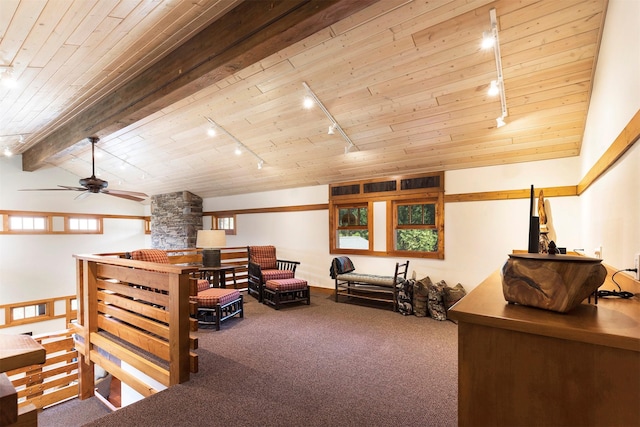 349 Harlan Creek Rd, Hamilton, MT 59840 - carpeted living room featuring track lighting, wooden ceiling, and ceiling fan