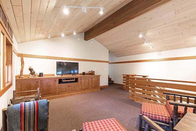 349 Harlan Creek Rd, Hamilton, MT 59840 - living area featuring rail lighting, wooden ceiling, and carpet flooring