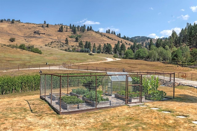 349 Harlan Creek Rd, Hamilton, MT 59840 - view of yard featuring a garden, a view of countryside, and a mountain view