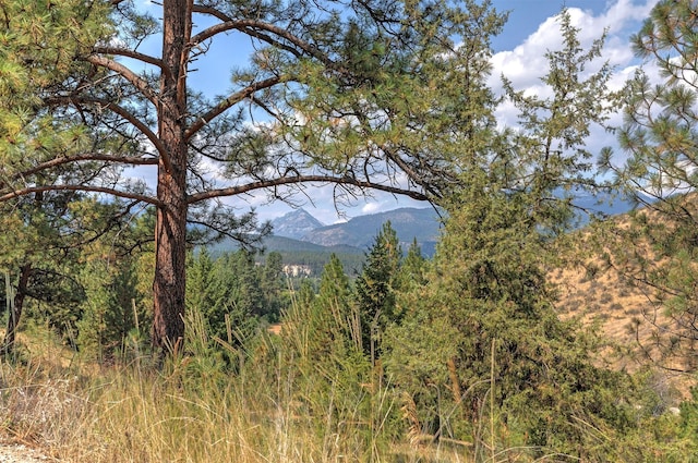 349 Harlan Creek Rd, Hamilton, MT 59840 - mountain view featuring a heavily wooded area