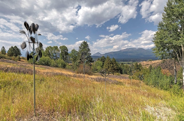 349 Harlan Creek Rd, Hamilton, MT 59840 - mountain view