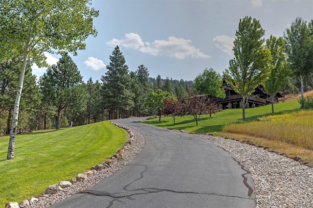 349 Harlan Creek Rd, Hamilton, MT 59840 - view of road