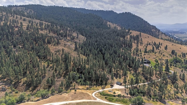 349 Harlan Creek Rd, Hamilton, MT 59840 - view of mountain background with a heavily wooded area