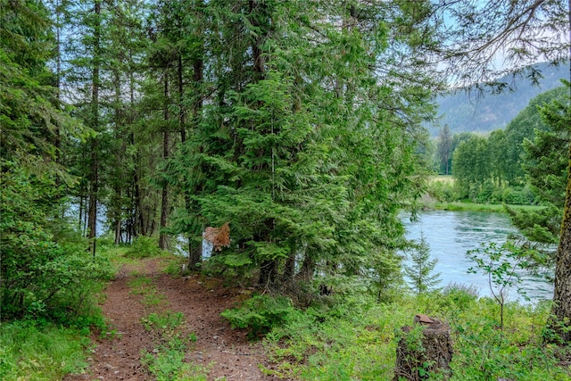 716 Kootenai River Rd, Troy, MT 59935 - water view with a heavily wooded area
