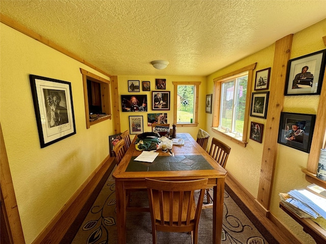 17 Twenty Peak Gulch Ln, Trout Creek, MT 59874 - carpeted dining area with a textured wall and a textured ceiling
