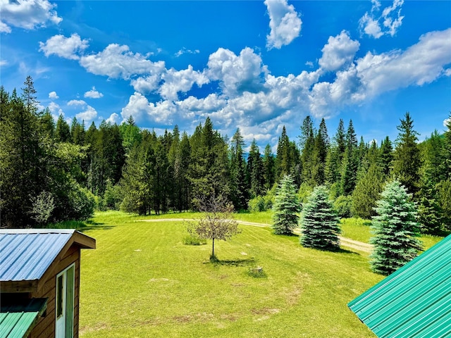 17 Twenty Peak Gulch Ln, Trout Creek, MT 59874 - view of green lawn