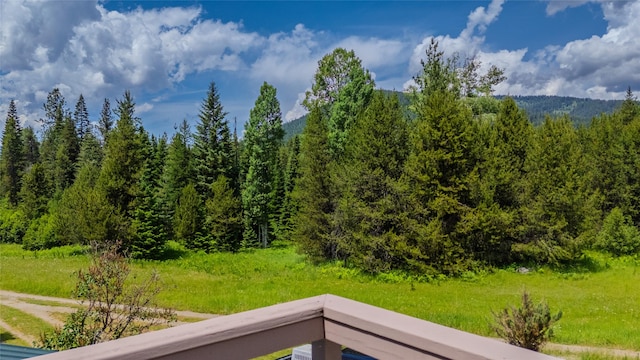 17 Twenty Peak Gulch Ln, Trout Creek, MT 59874 - mountain view featuring a forest