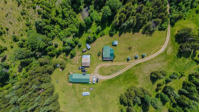 17 Twenty Peak Gulch Ln, Trout Creek, MT 59874 - aerial view