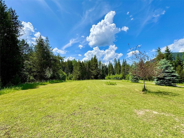 17 Twenty Peak Gulch Ln, Trout Creek, MT 59874 - view of green lawn with a wooded view