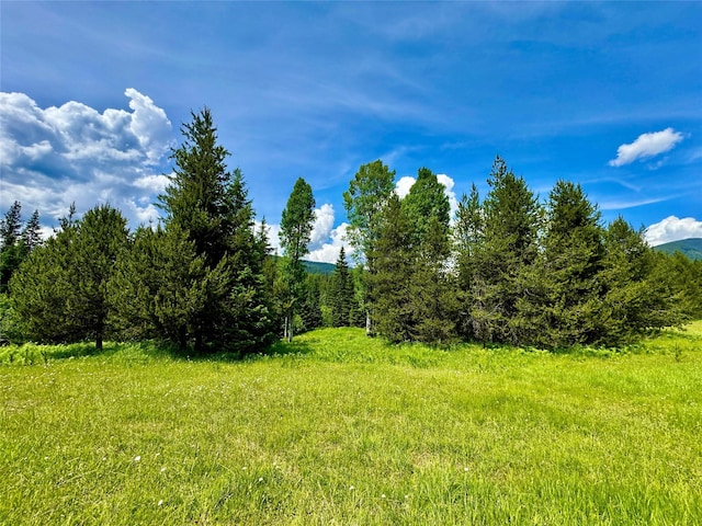 17 Twenty Peak Gulch Ln, Trout Creek, MT 59874 - view of yard