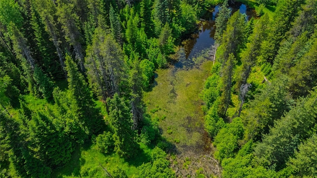 17 Twenty Peak Gulch Ln, Trout Creek, MT 59874 - aerial view