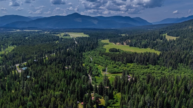 17 Twenty Peak Gulch Ln, Trout Creek, MT 59874 - view of mountain background with a heavily wooded area