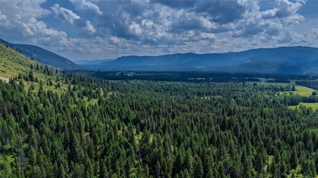 17 Twenty Peak Gulch Ln, Trout Creek, MT 59874 - view of mountain backdrop featuring a heavily wooded area