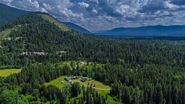 17 Twenty Peak Gulch Ln, Trout Creek, MT 59874 - mountain view featuring a forest