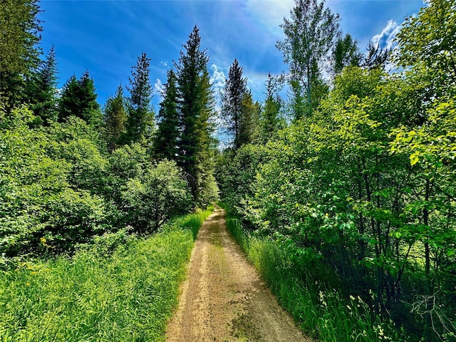 17 Twenty Peak Gulch Ln, Trout Creek, MT 59874 - view of wooded area
