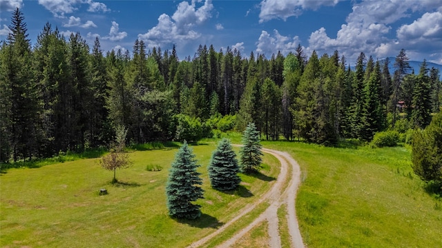 17 Twenty Peak Gulch Ln, Trout Creek, MT 59874 - bird's eye view of a forest