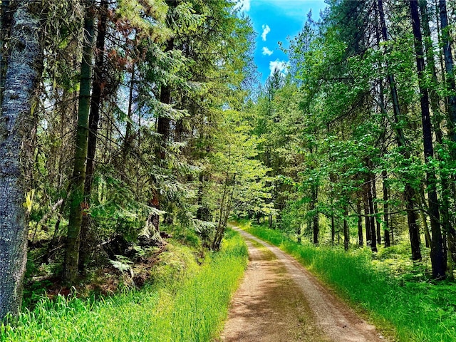 17 Twenty Peak Gulch Ln, Trout Creek, MT 59874 - view of dirt / gravel road with a wooded view