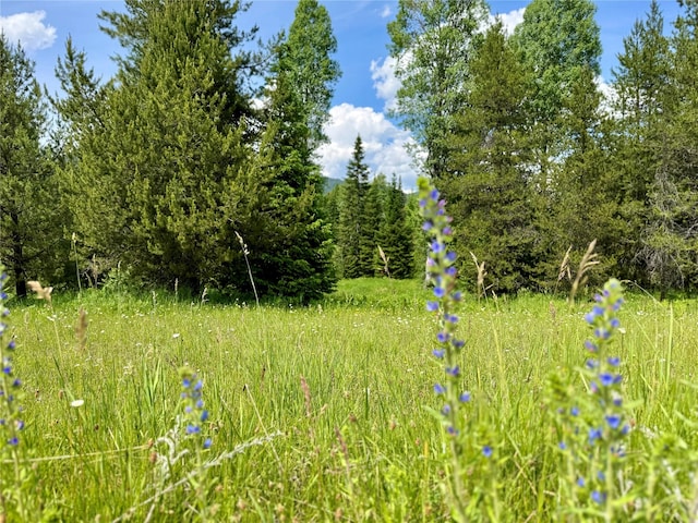 17 Twenty Peak Gulch Ln, Trout Creek, MT 59874 - view of nature