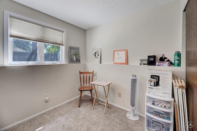 3875 Kiki Dr Unit 3875, Helena, MT 59602 - sitting room featuring carpet flooring and a textured ceiling
