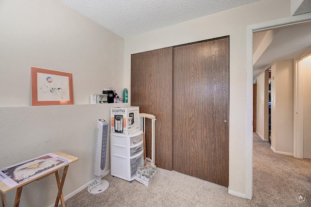 3875 Kiki Dr Unit 3875, Helena, MT 59602 - miscellaneous room with carpet flooring and a textured ceiling