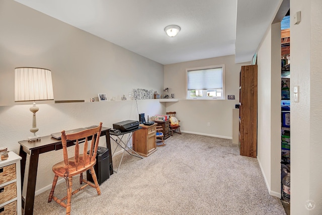 3875 Kiki Dr Unit 3875, Helena, MT 59602 - carpeted office with baseboards