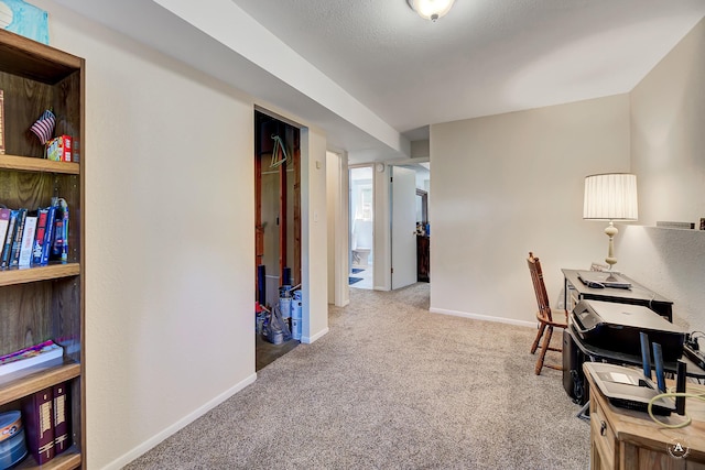3875 Kiki Dr Unit 3875, Helena, MT 59602 - office featuring carpet floors and baseboards