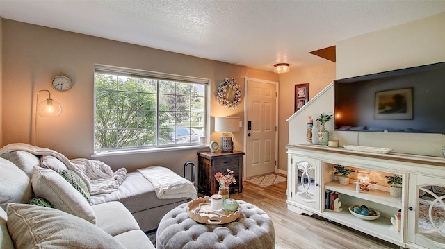 5530 Creekstone Dr Unit 6, Missoula, MT 59808 - living area featuring light wood finished floors and a textured ceiling