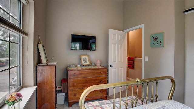 5530 Creekstone Dr Unit 6, Missoula, MT 59808 - carpeted bedroom with a high ceiling and multiple windows