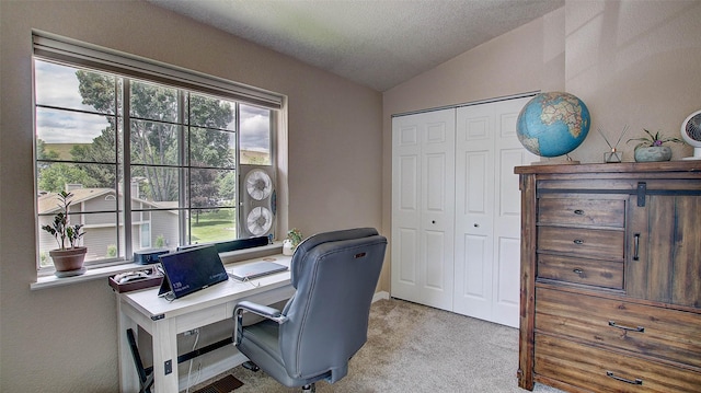 5530 Creekstone Dr Unit 6, Missoula, MT 59808 - home office featuring vaulted ceiling and light colored carpet