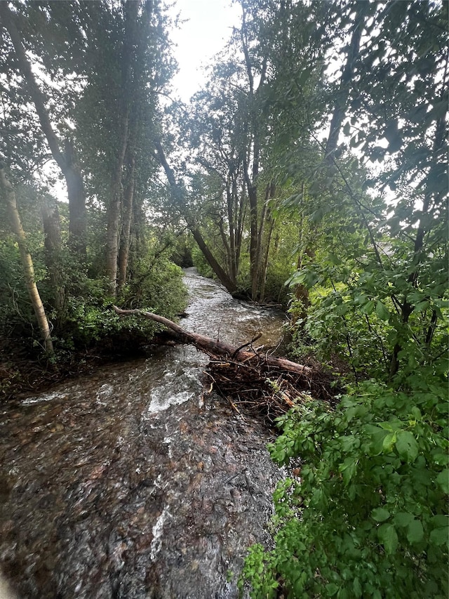 5530 Creekstone Dr Unit 6, Missoula, MT 59808 - view of undeveloped land