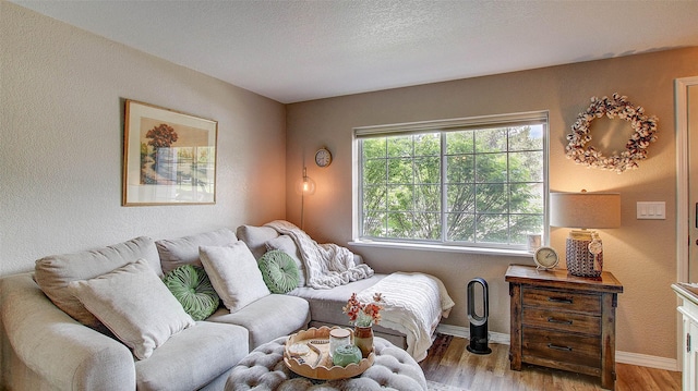 5530 Creekstone Dr Unit 6, Missoula, MT 59808 - living area with light wood-type flooring, a textured ceiling, and a textured wall