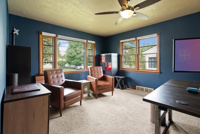 321 6th Ave W, Kalispell, MT 59901 - carpeted office with plenty of natural light, a ceiling fan, and a textured ceiling