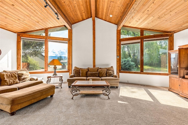 4291 Williams Ln, Stevensville, MT 59870 - sunroom / solarium featuring plenty of natural light and track lighting