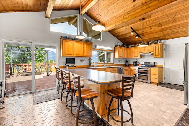 4291 Williams Ln, Stevensville, MT 59870 - kitchen featuring stainless steel appliances, a wood ceiling with exposed beams, under cabinet range hood, a breakfast bar, and high vaulted ceiling