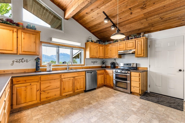 4291 Williams Ln, Stevensville, MT 59870 - kitchen with appliances with stainless steel finishes, a wooden ceiling with exposed beams, under cabinet range hood, stone finish flooring, and dark countertops