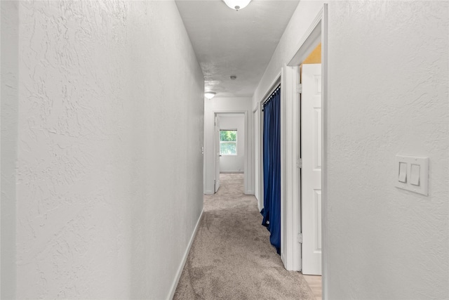 4291 Williams Ln, Stevensville, MT 59870 - corridor featuring light colored carpet and a textured wall