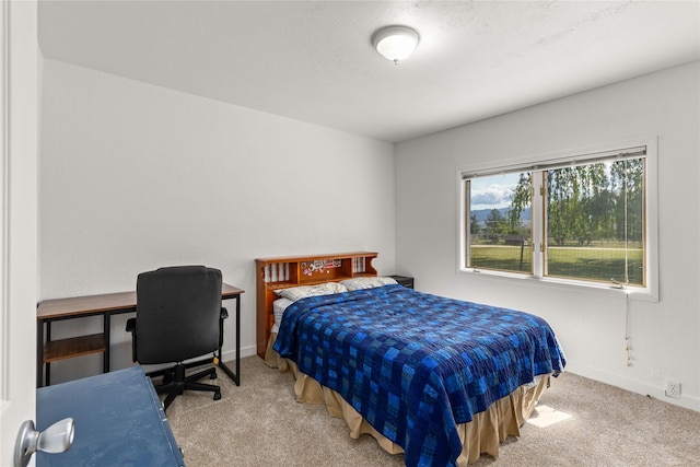 4291 Williams Ln, Stevensville, MT 59870 - bedroom featuring carpet and baseboards