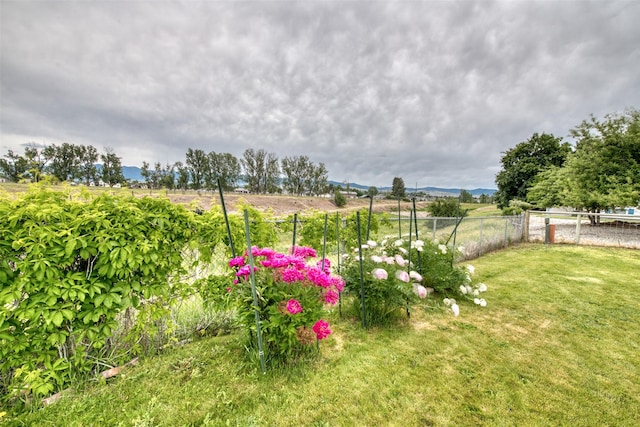 238 Hillcrest Dr, Hamilton, MT 59840 - view of yard featuring a view of countryside