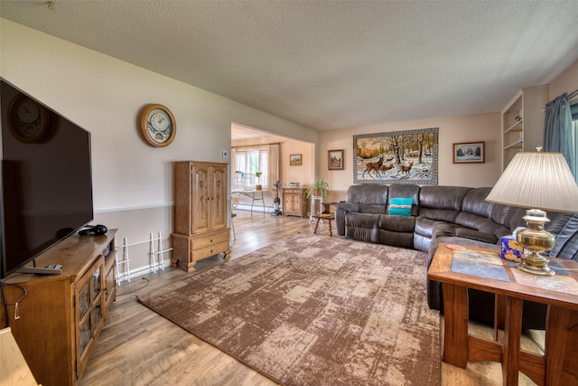 238 Hillcrest Dr, Hamilton, MT 59840 - living room featuring a textured ceiling and wood finished floors