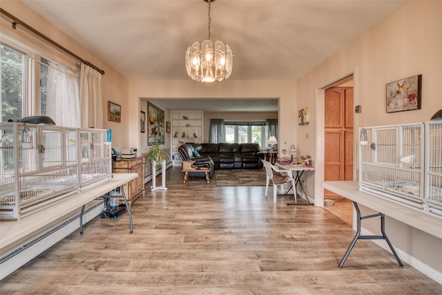 238 Hillcrest Dr, Hamilton, MT 59840 - office space with a chandelier, wood finished floors, a baseboard radiator, and a textured ceiling