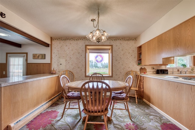 238 Hillcrest Dr, Hamilton, MT 59840 - dining space featuring a baseboard radiator, a textured ceiling, a chandelier, plenty of natural light, and a wainscoted wall