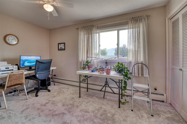 238 Hillcrest Dr, Hamilton, MT 59840 - carpeted office space with a baseboard radiator, ceiling fan, and a textured ceiling