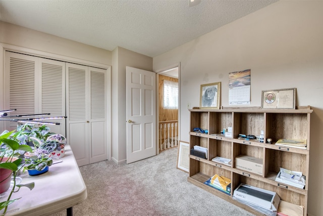 238 Hillcrest Dr, Hamilton, MT 59840 - office space featuring light colored carpet and a textured ceiling