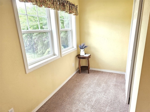 1109 W Main St, Hamilton, MT 59840 - empty room with carpet and baseboards